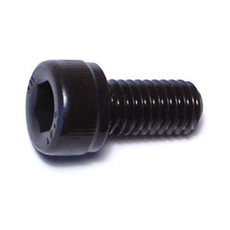M6-1.00 Socket Head Cap Screw, Black Oxide Steel, 12 Mm Length, 10 PK
